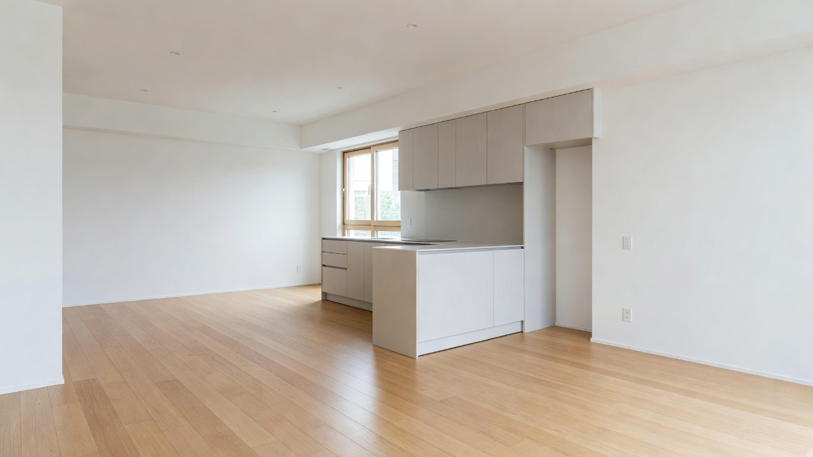 Renovated empty rental apartment with a new kitchen and wood floors